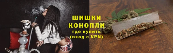 сатива Белокуриха
