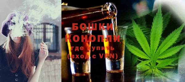 сатива Белокуриха
