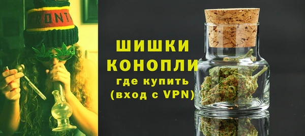 сатива Белокуриха