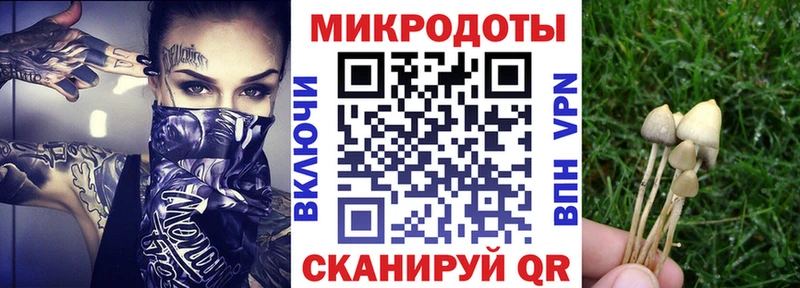 Псилоцибиновые грибы мухоморы  Жиздра 